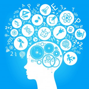 shutterstock_94069657smm